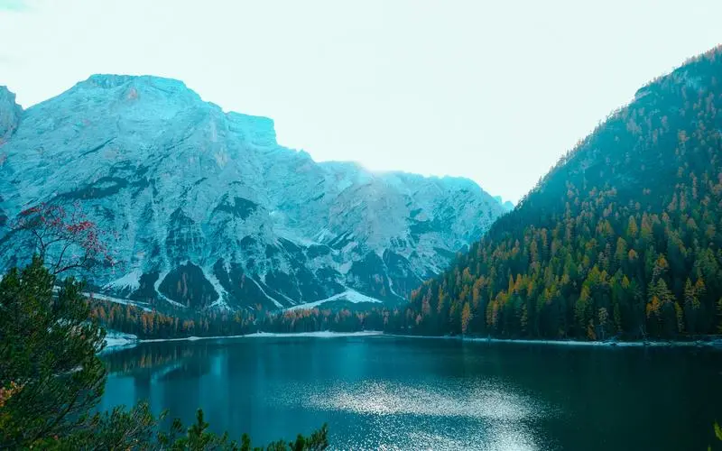 信息化绿色